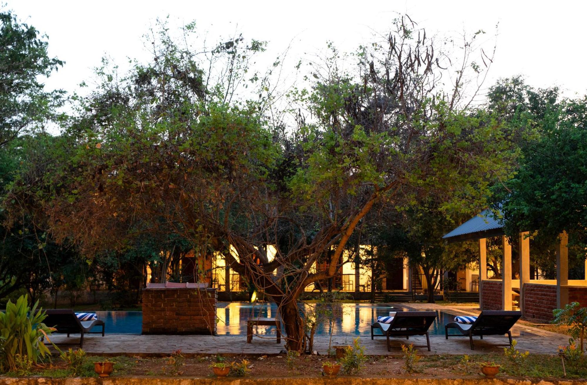 Lario Resort Sigiriya Eksteriør billede